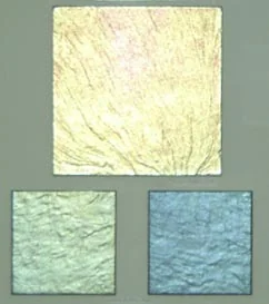 Struktura coloris